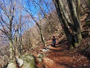 MONTE SUCHELLO (1541 m), fiorito in basso , innevato in alto, da Costa Serina il 19 marzo 2026  - FOTOGALLERY